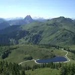 Oberhauser *