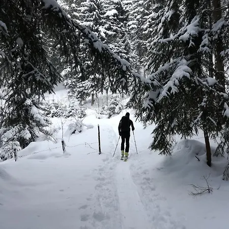 Oberhauser アパート