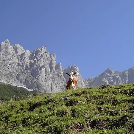 Oberhauser ヴェステンドルフ