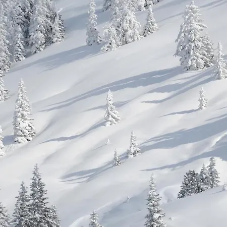 Oberhauser アパート *