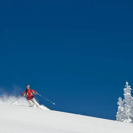 Oberhauser アパート