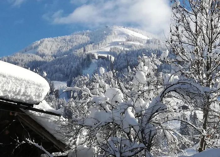 Oberhauser Apartman *