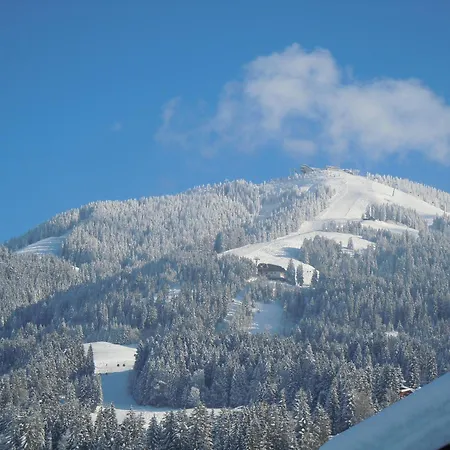 Oberhauser Апартаменты *