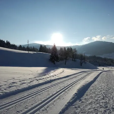 Апартаменты Oberhauser