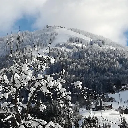 Oberhauser Вестендорф