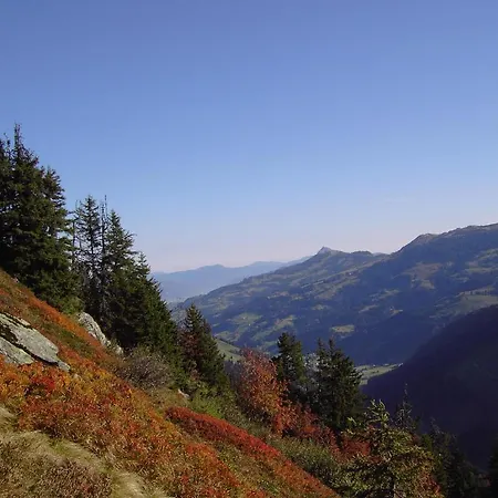 Oberhauser Апартаменты