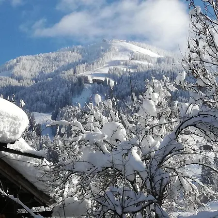 Oberhauser Апартаменты *